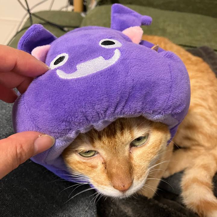 Be94e0db dfc3 4dcc 918c 62ca9c173863 1761923801954