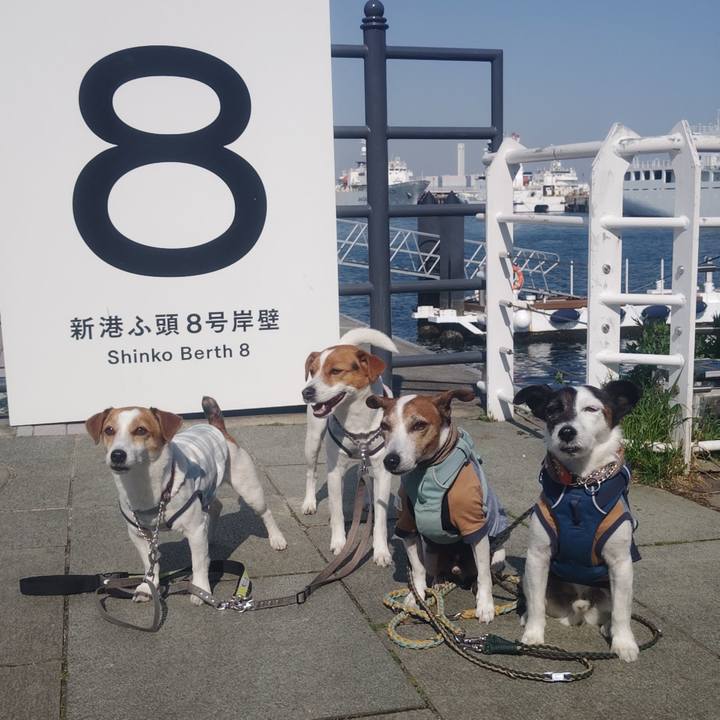 Be9547c6 54e2 4b86 965b 10672da89c9a 1774087728512