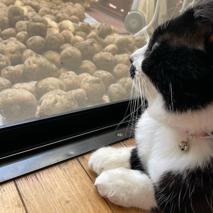 Be954872 ebe1 4f9d 886f e4b65e2effb5 1655087990685