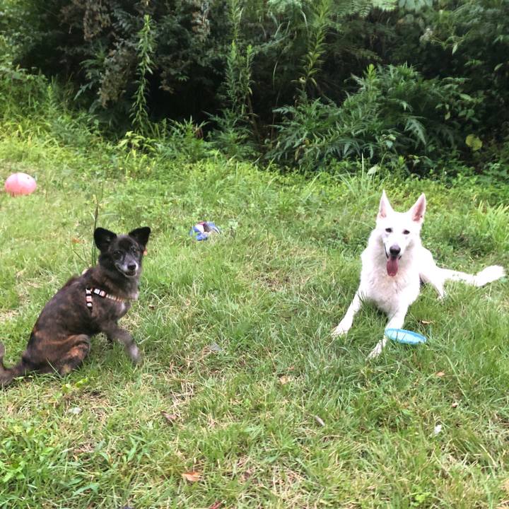 Be9558f2 4fc9 4712 a953 6d4c2117b0a0 1599142961161