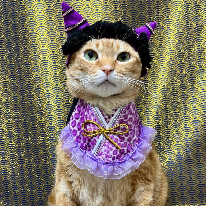 Be95964d 194c 4fb0 a880 3c55fe7e468f 1706924683705