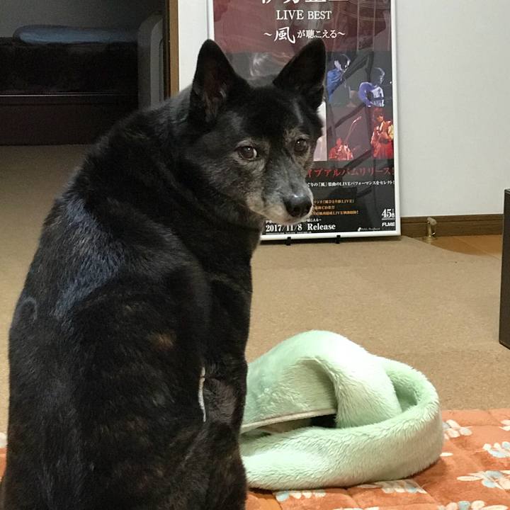 Be95a28a 4ee2 4db8 b7af e9e253c922b0 1514466969365