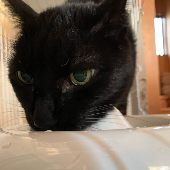 Be95c22c 9f49 4be3 b315 a9ee17754138 1580174588490