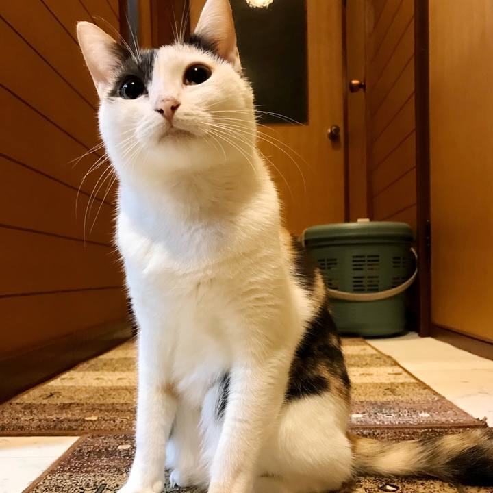 Be95c42c 5a9f 43bb 8a0a 41e4dbf9f716 1507683524208