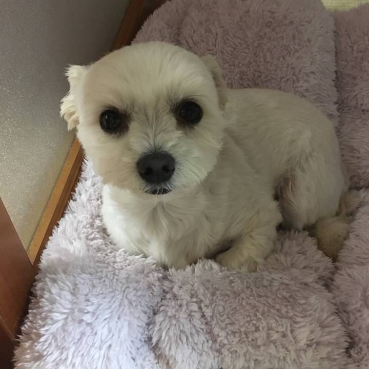 Be95cafc d9d8 4c15 bb65 fbbc93f80ae4 1556800139929