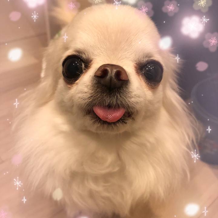 Be95d216 7cf4 4a9c a771 b542180c91bb 1617547241750