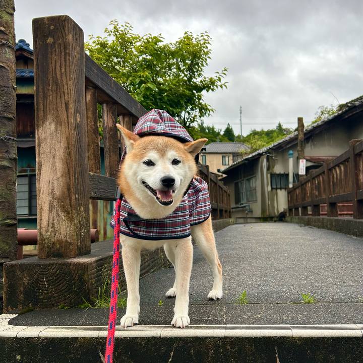 Be95fc7f b22a 48d7 86bc 001e4d5326fb 1719737066719