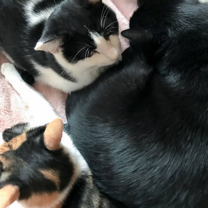 Be961414 ad1e 4a3e af5a ea063b07c0c1 1510363190514