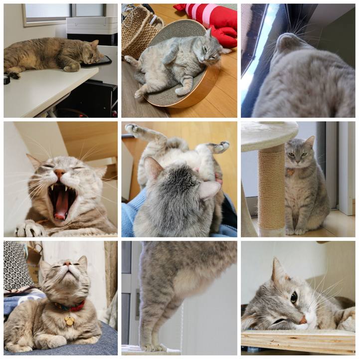 Be9617cf 6263 4d3d a9ec a2761615f6d1 1643296301715