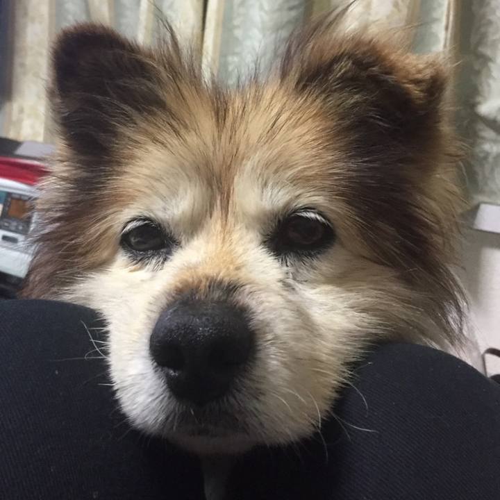 Be962b98 df56 43ba 9bde 44cde48db4a5 1586227365210