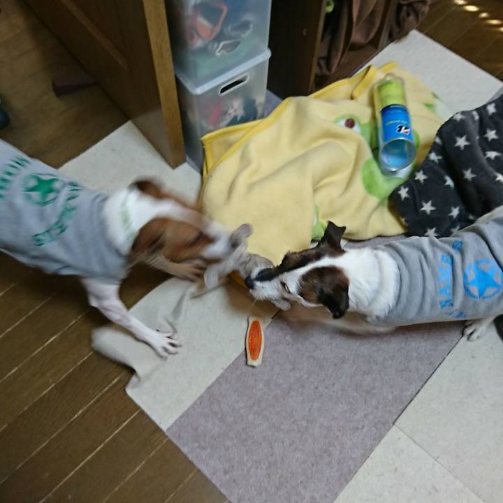 Be962c51 84fc 4c3a a6d2 802a1bc42c00 1577589126264