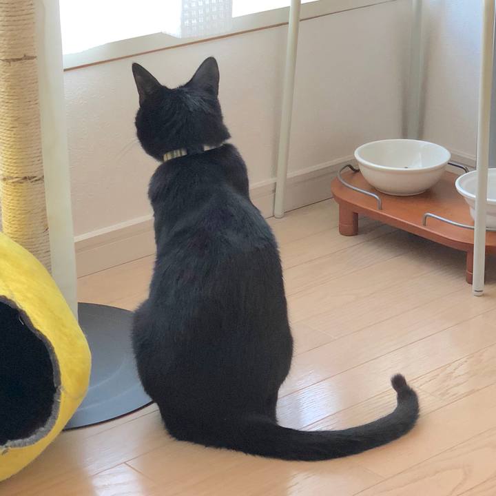 Be9655a7 822a 4c85 a35d 4d6d285c2fb9 1512782984219