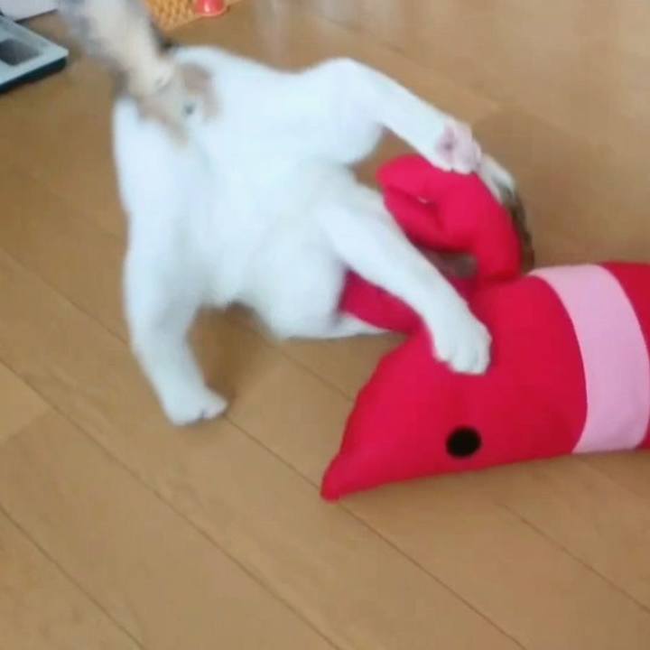 Be966f2b 707c 4fba 8ab6 292b9c30c936 1686227637205