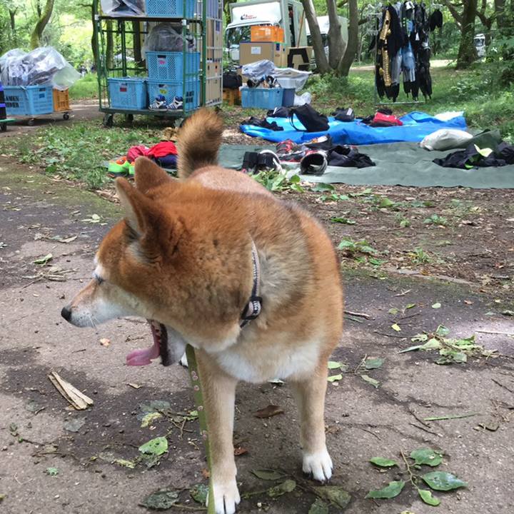 Be96d21a 1b18 4e66 beb2 98e17988b207 1558500779297