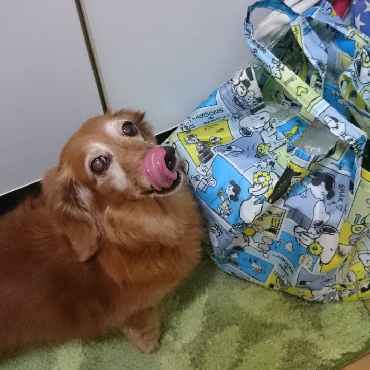 Be96da11 3338 4f92 a339 4290df99127b 1581873017379