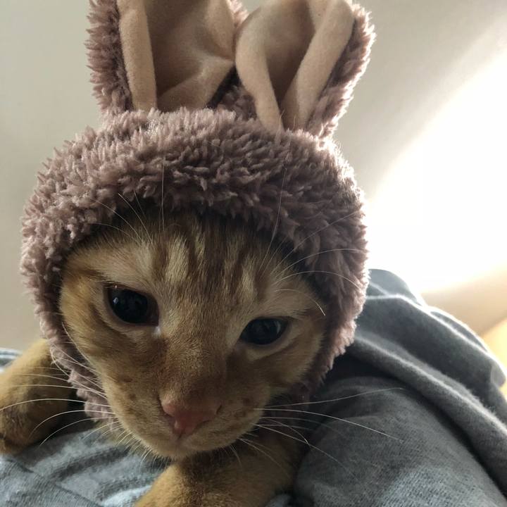 Be96ebe5 f269 443d ba09 b17aa8b1678e 1518183757028