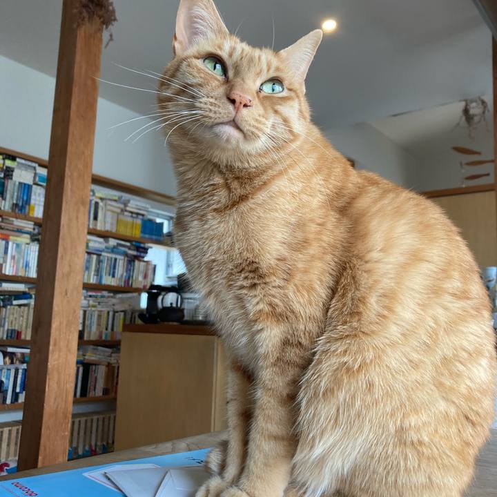 Be972040 a810 47b5 a628 eeeaa2b1182d 1675382044389