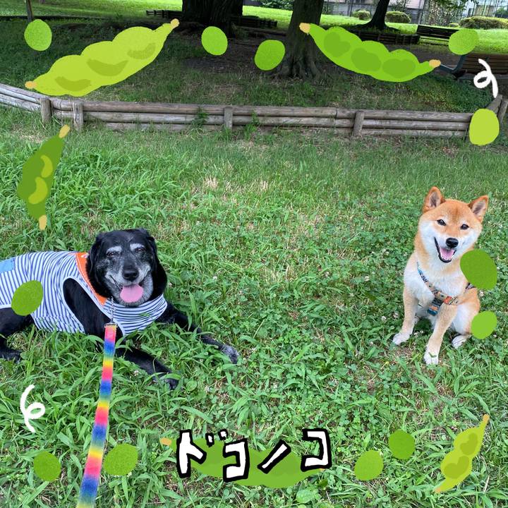 Be977640 1fdd 47c9 8089 d9d8c21c6712 1720928458816