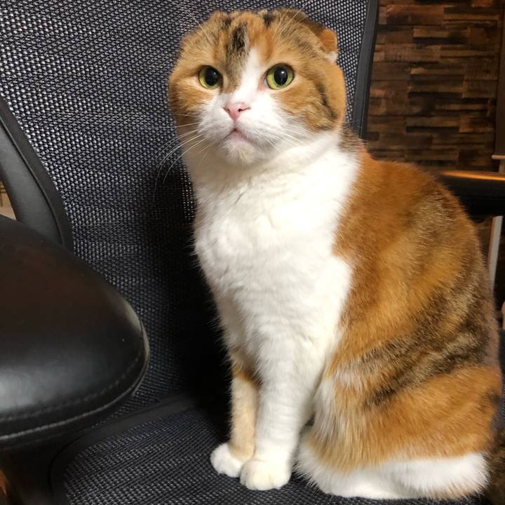 Be9776f9 9101 4f10 8fe8 9d1b753db88a 1615817843425