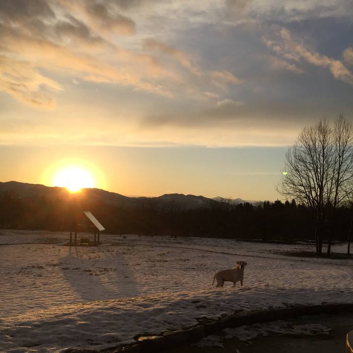 Be9782f6 89ee 4706 beea 54ea720b91e2 1512861617588