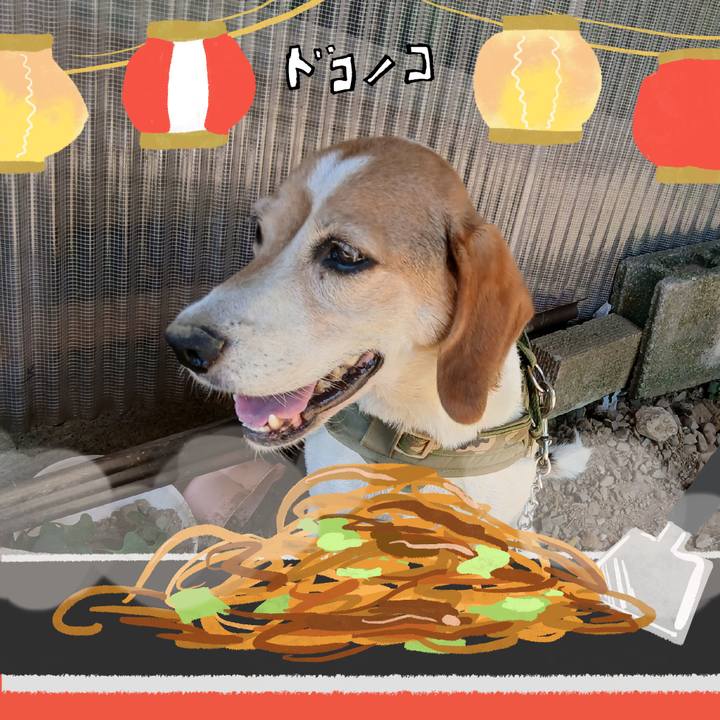 Be97ade3 54f6 44ac a121 0f6dcea14e14 1755252819893