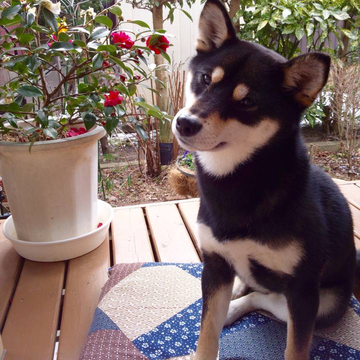 Be97ecc5 a444 403e 8556 496dcfd445e9 1514420549842