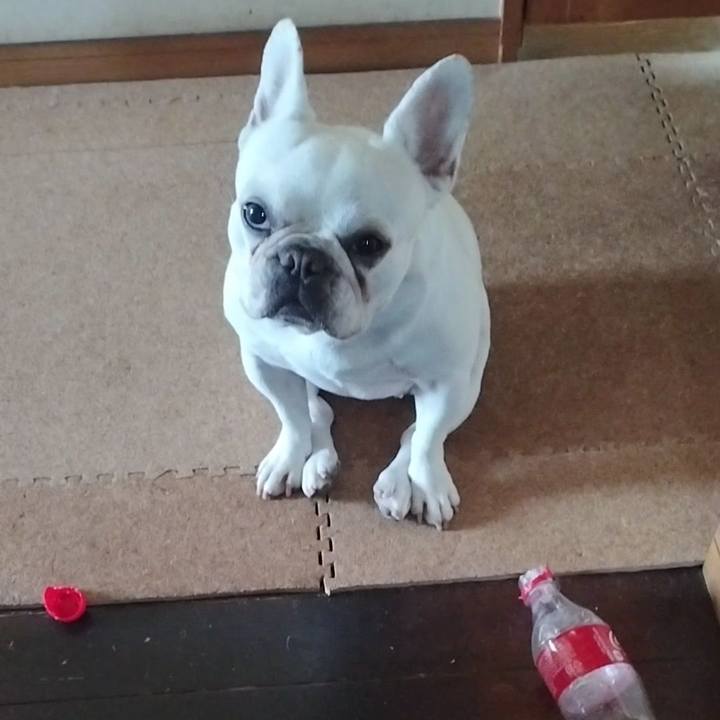 Be97f65d 2c55 4a39 a9ea fef818f790eb 1684276975661