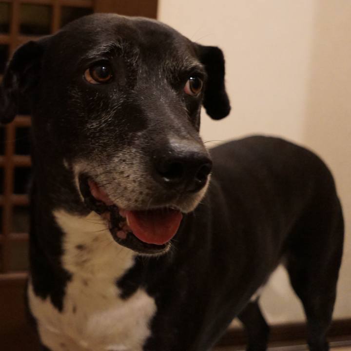 Be982773 6edf 4b6a a26d 60726f6b0e7f 1760266997809