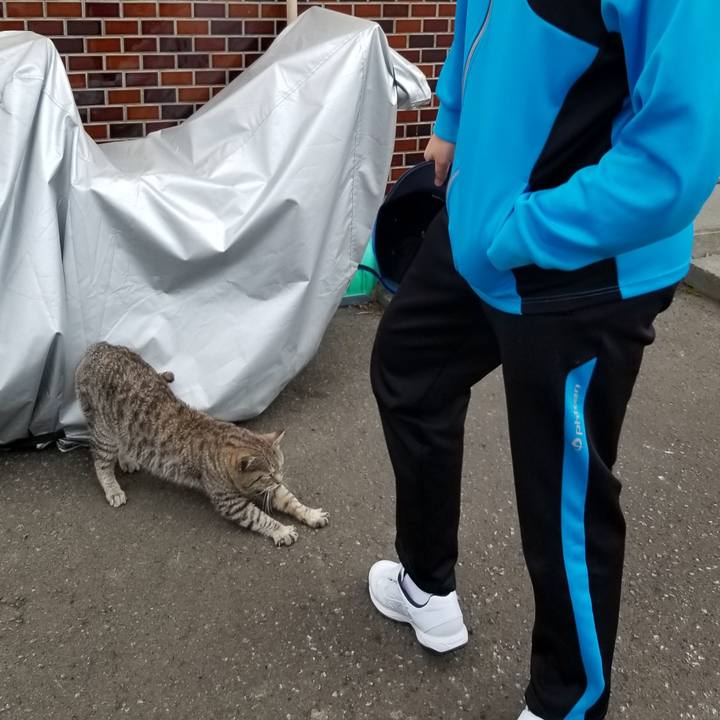 Be985ec7 9e4d 4ebe a001 13f211ddfa0d 1682609231180