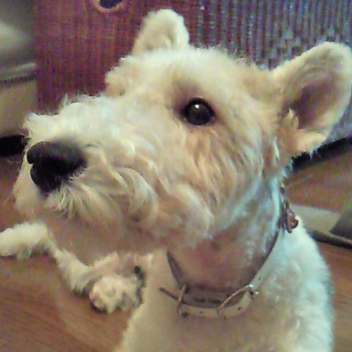 Be9865fe c5e7 4219 8cf2 e59721687602 1595307484006