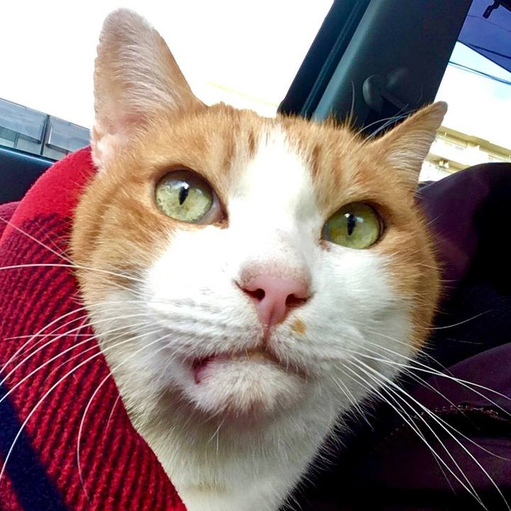 Be986b27 906a 4c6e 882e c82d91f129a0 1575269461422