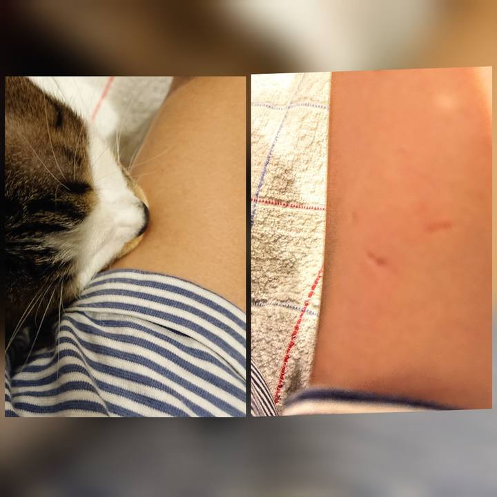 Be98789a c323 4a82 a761 2255c0439c02 1573170286187