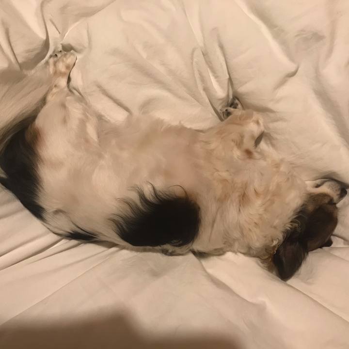 Be988616 bbf5 4e6d 83cb fc01b19272e0 1622648660021