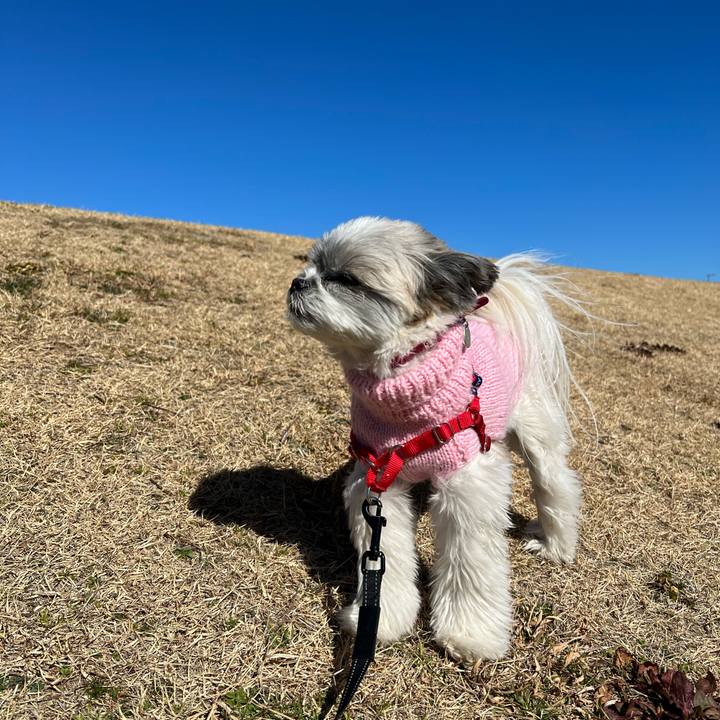 Be98a766 eb62 4d2d 95cc c56e597eaf84 1644203639550