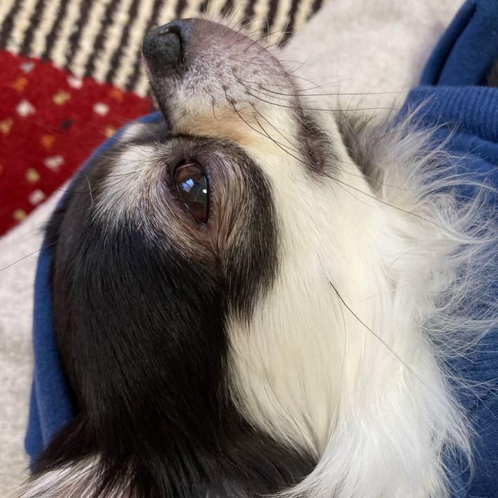 Be98b9bd 3a37 4a67 adbb e86df40df26f 1676732572115