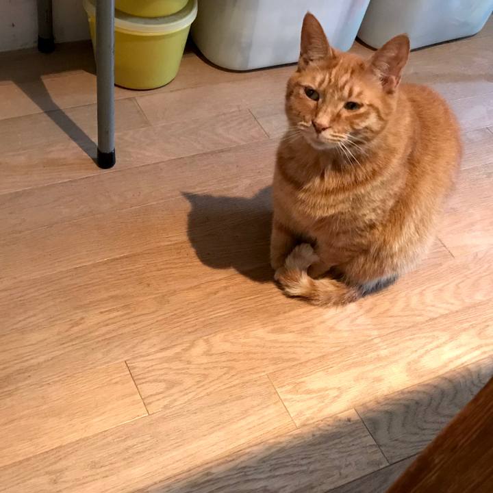 Be98cb9b abae 49af 9403 39ca5807b20b 1526979986194