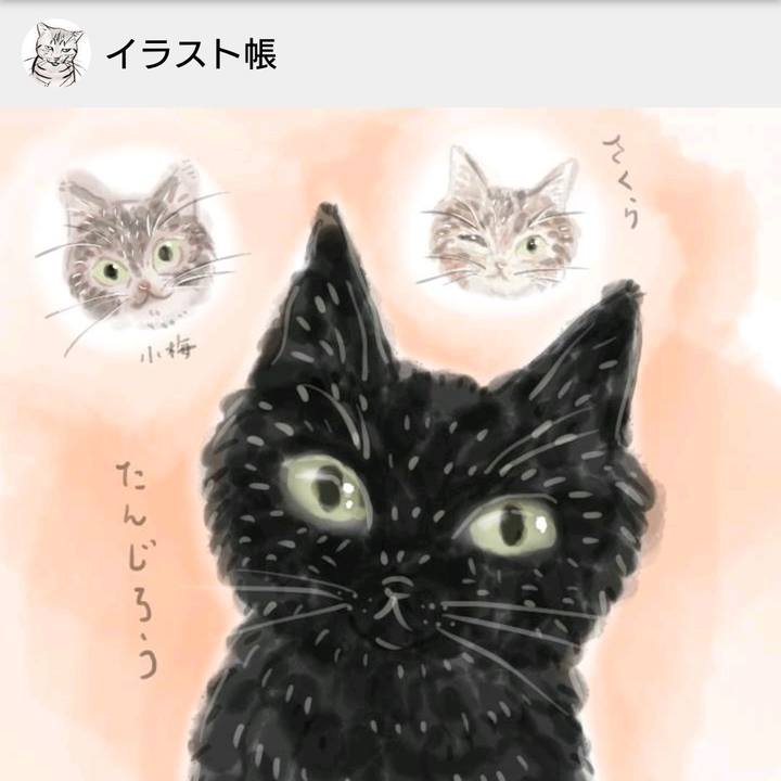 Be991609 6749 4412 885c ab954d03916d 1574827334380