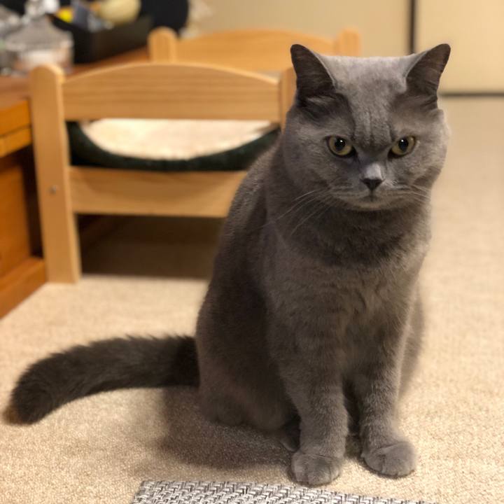 Be992513 5e9f 49d4 9af2 052142ec39b9 1558176999016