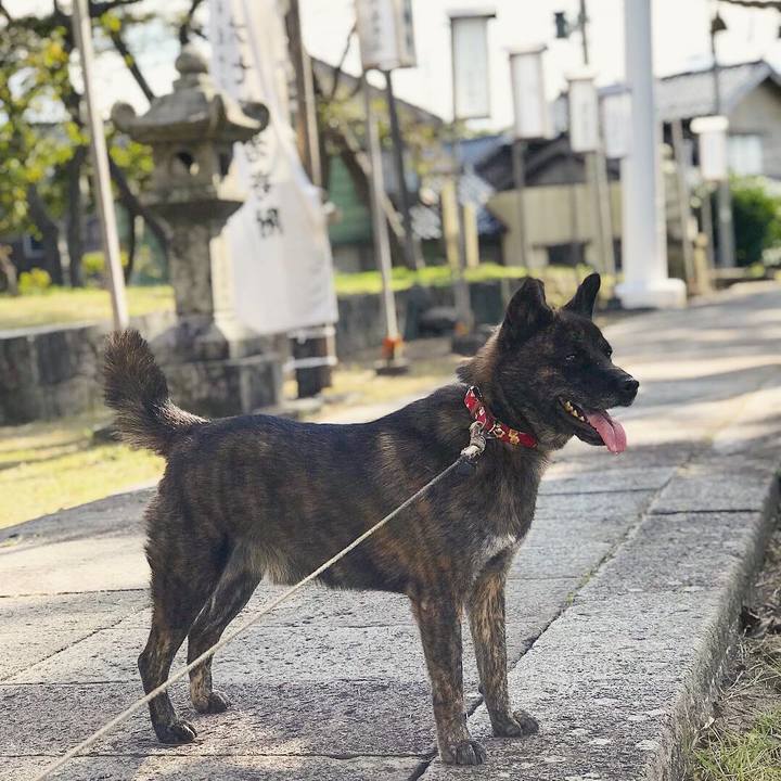 Be992f95 32da 4141 b371 f82a375468c2 1539668259614