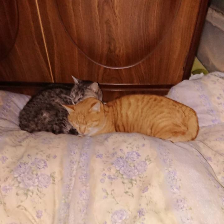 Be993f9b cfd3 4b2a b6e0 a3e3465f8217 1578854317966