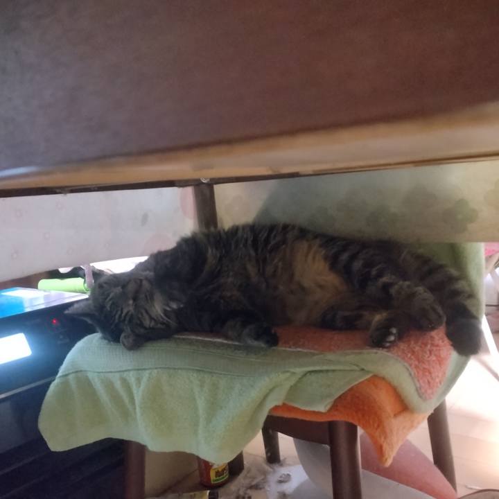 Be995121 ff64 4901 aa40 01785b3f6e2b 1708642396715