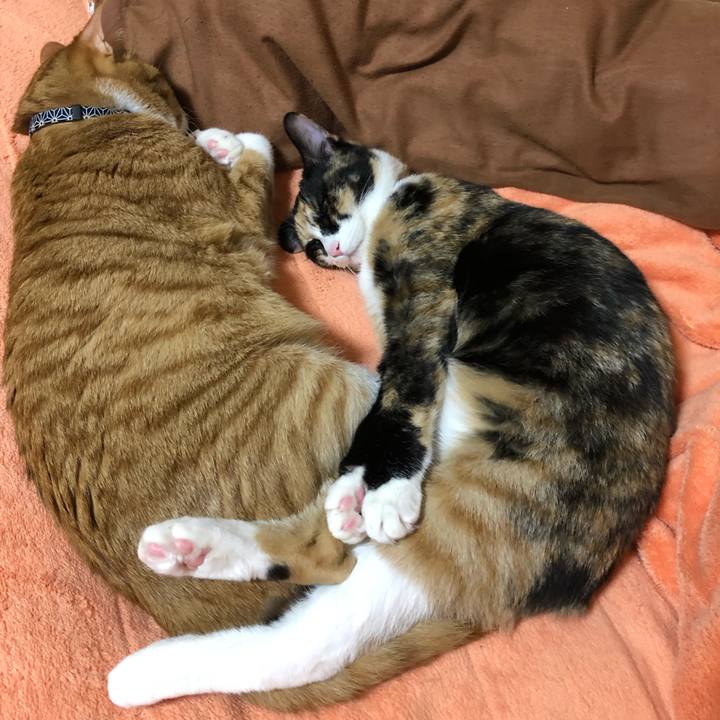 Be9956c1 35aa 4ef2 bbdb 78ceec76d12d 1556980245106