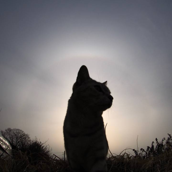 Be996536 db78 4066 acaf b6a99b30438c 1773837123716