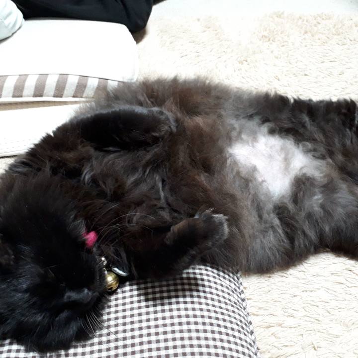 Be996fbb b226 4801 8903 dff184a84f8c 1542974137881