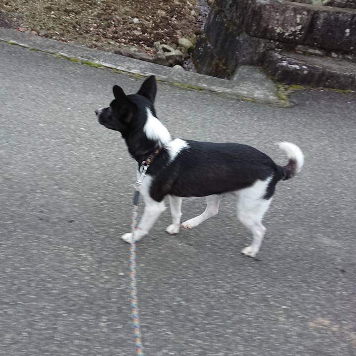 Be9973d5 0130 4ae8 a87e 826b376ee544 1516316188386