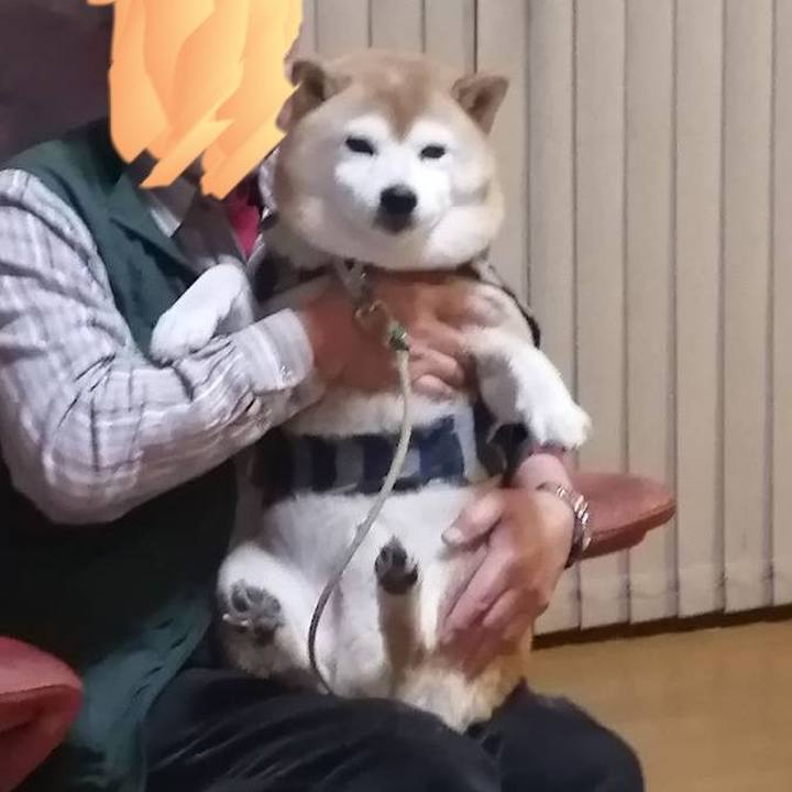 Be99f368 e660 4b6d 8467 887f1e777fea 1672827605742