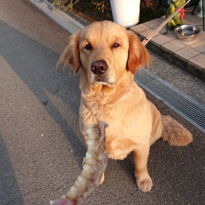 Be9a02ff a4a0 42be 8327 12d0ce0c4e30 1553697901977