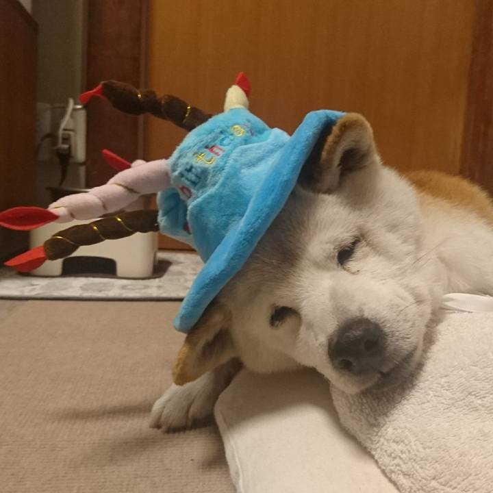 Be9a05aa c63a 49f9 abd0 7fc75df96b64 1594345511416