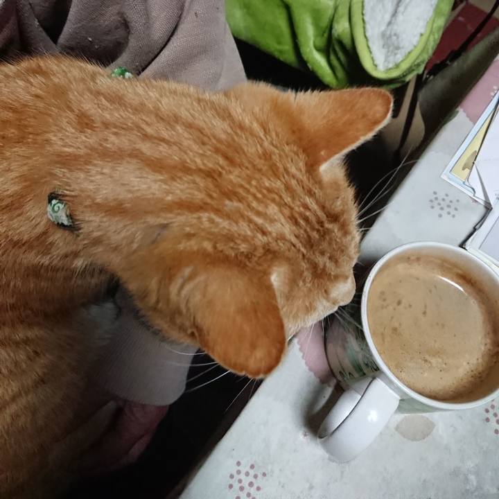 Be9a0cde 2bf4 4d3b 84d5 8a14fae38f8b 1583870177632