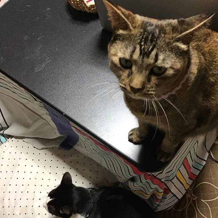 Be9a13df 0477 4c7f baa3 0e544b4256c3 1665489136994